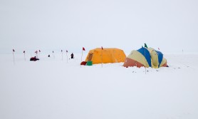 AO and Endo tents. (Credit: Dan)